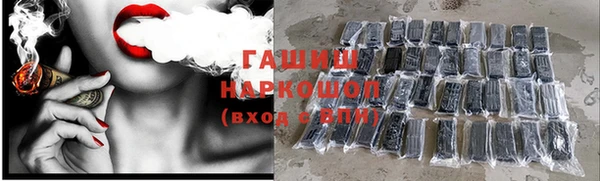 прущие грибы Куйбышев