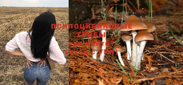 соль ск Абаза