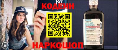 молекула духа Кингисепп