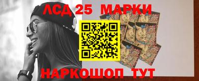 молекула духа Кингисепп