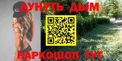 молекула духа Кингисепп