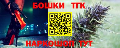 молекула духа Кингисепп