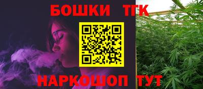 молекула духа Кингисепп
