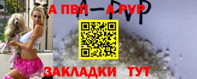 молекула духа Кингисепп