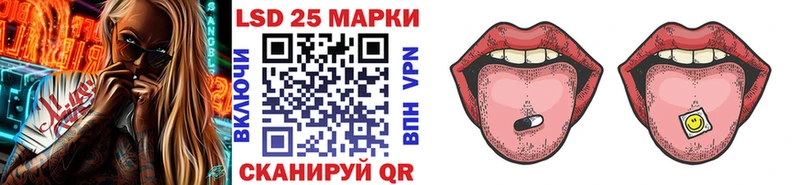 дарнет шоп  Кудымкар  Марки 25I-NBOMe 1,8мг 
