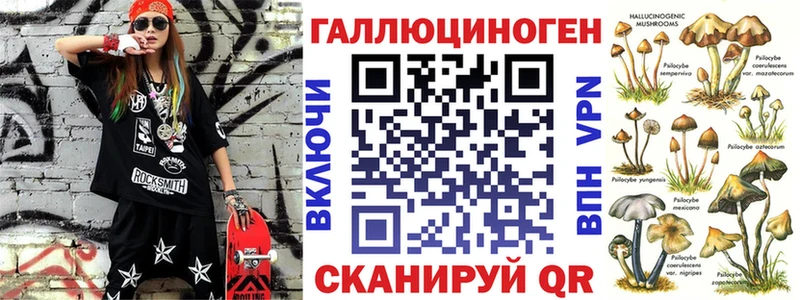 продажа наркотиков МЕГА ONION Псилоцибиновые грибы Psilocybe Кудымкар