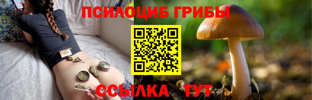 Псилоцибиновые грибы Magic Shrooms  Вход с VPN  Галлюциногенные грибы ЛСД  Кудымкар 